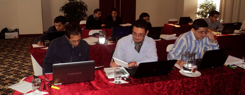 Asistentes al Curso Estabilidad 2012