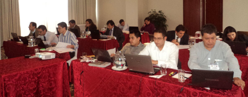 Asistentes al Curso Introductorio 2012